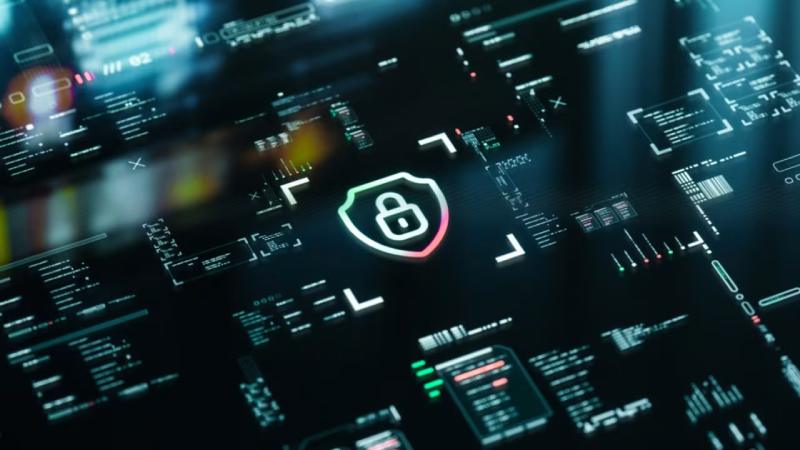 金川区软件开发公司